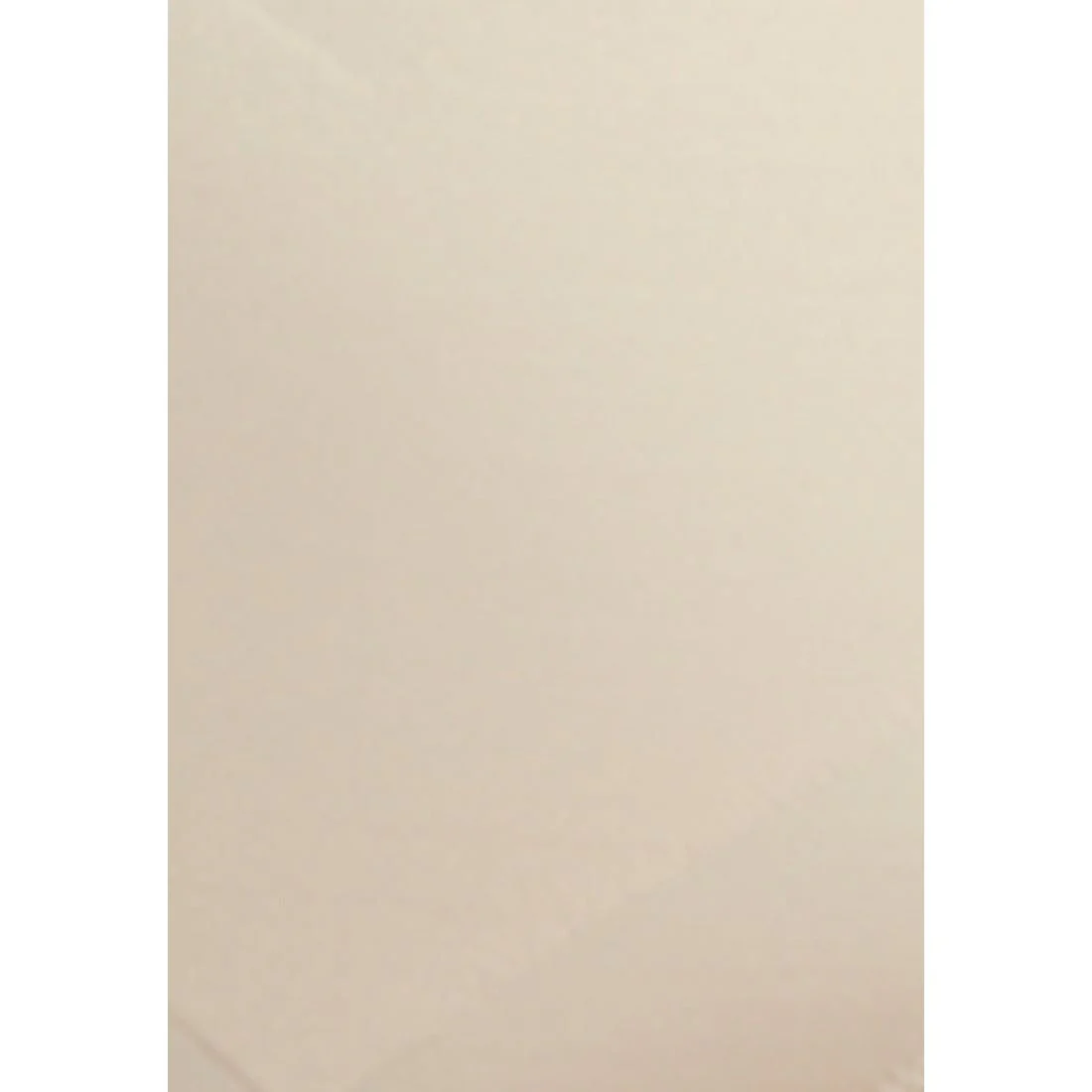 Adjusts To You Waistline Shaping Brief - Image 6