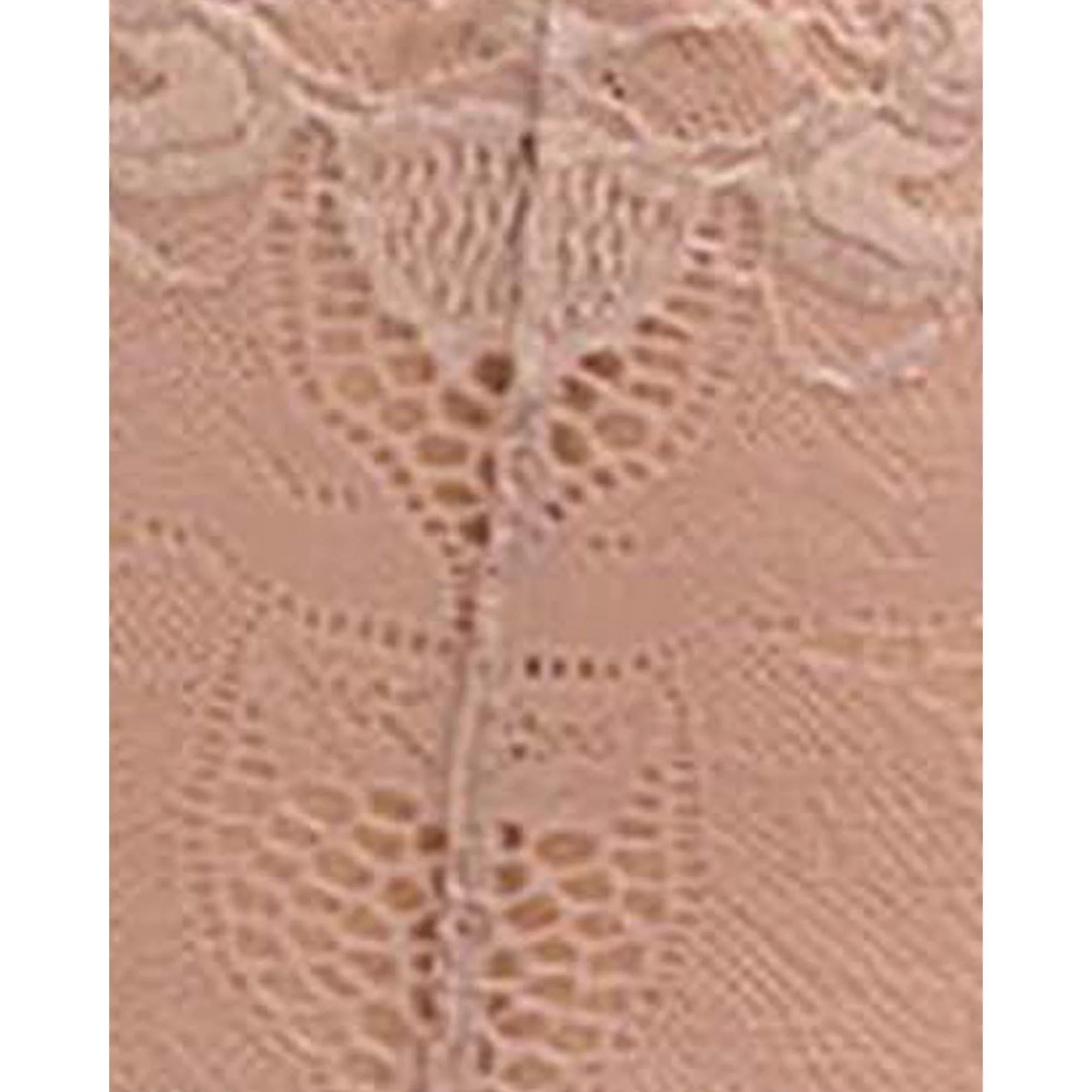 Arum Prima Mid Rise Sheer Stretch Lace Brief - Image 8
