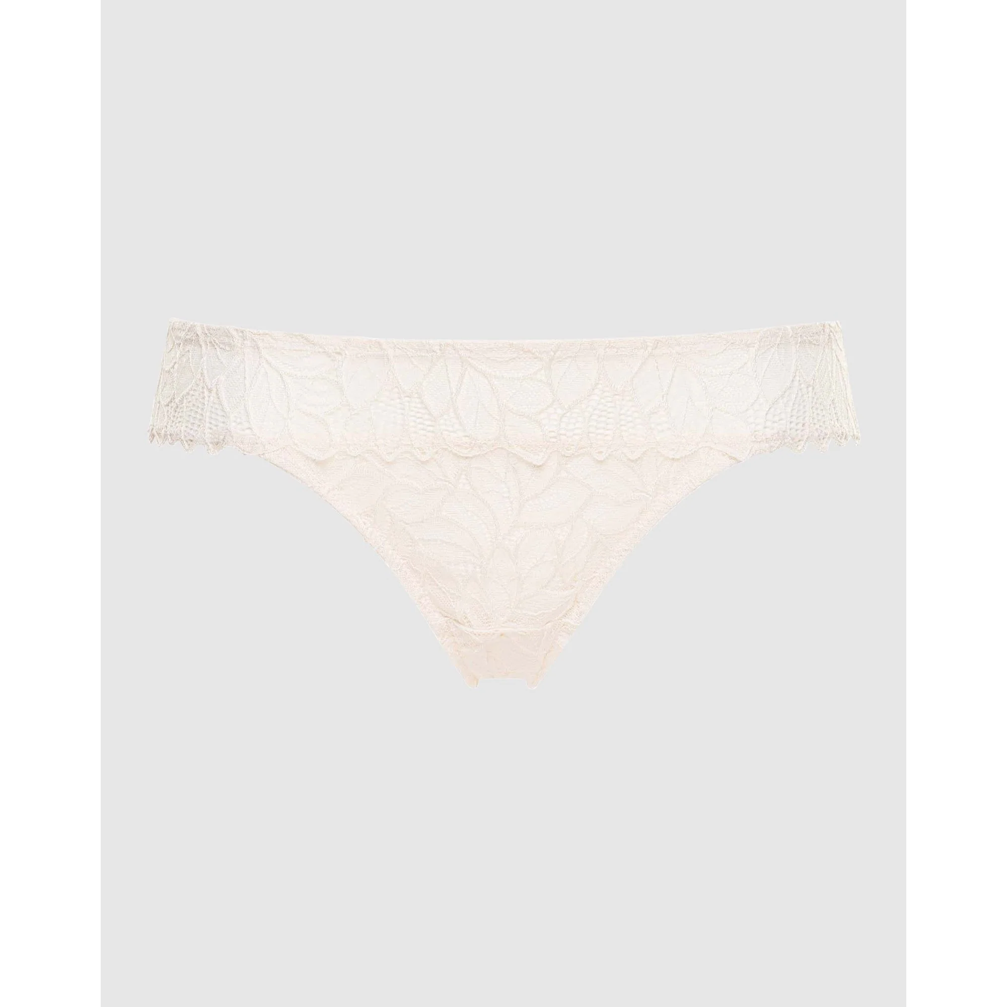 Divine Sheer Lace Hipster Brief - Image 6