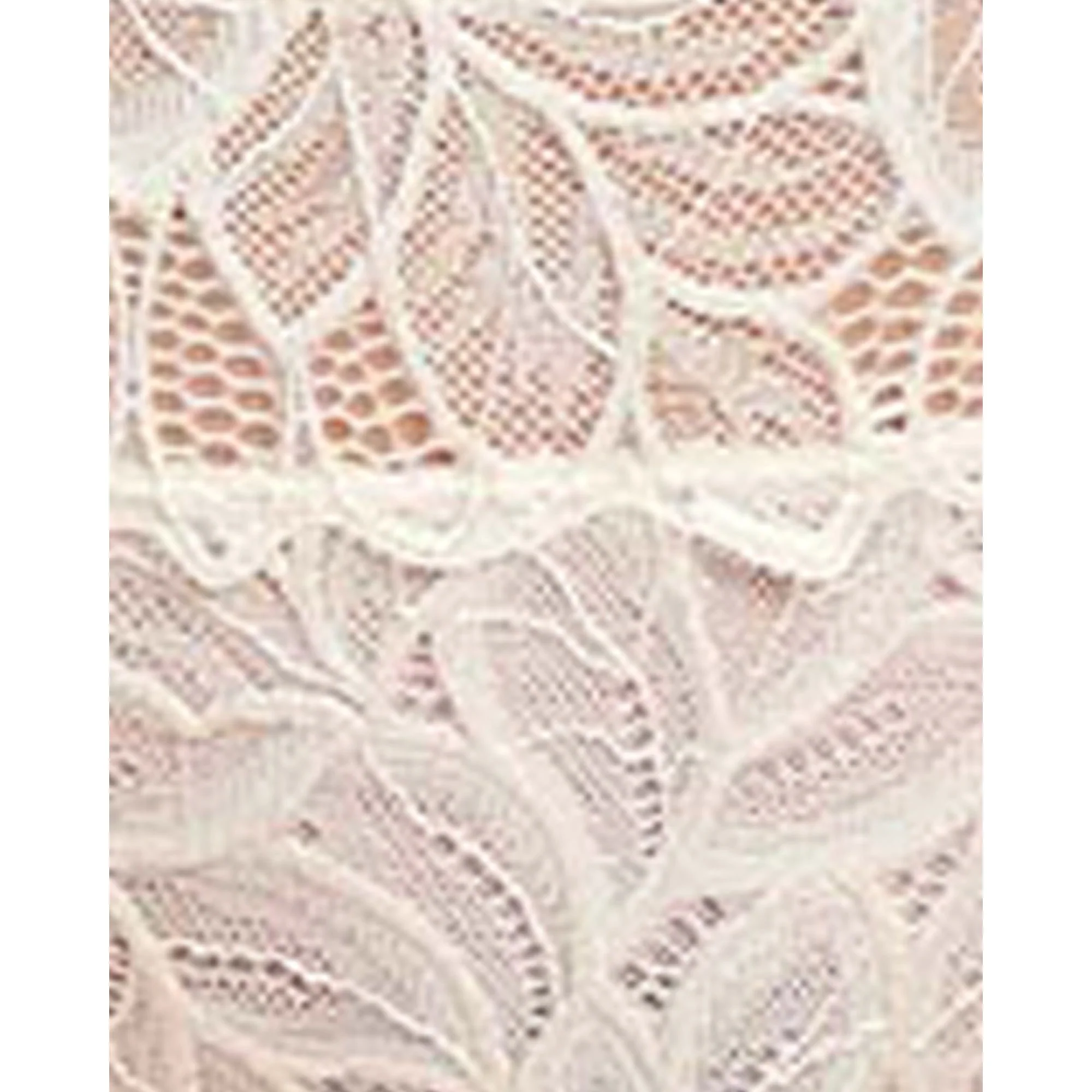 Divine Sheer Lace Hipster Brief - Image 7