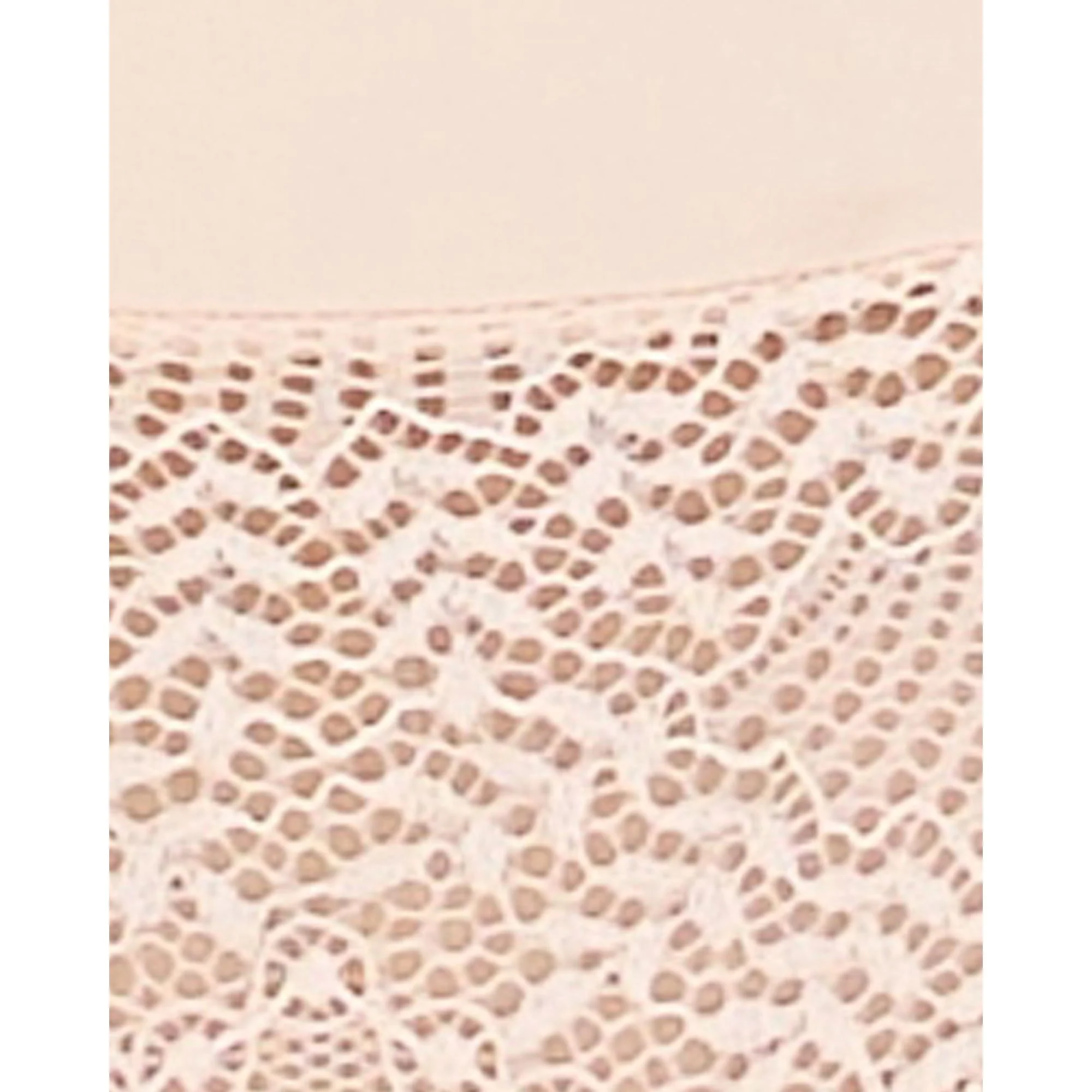 Fidele Shorty Style Microfibre & Lace Brief - Image 6