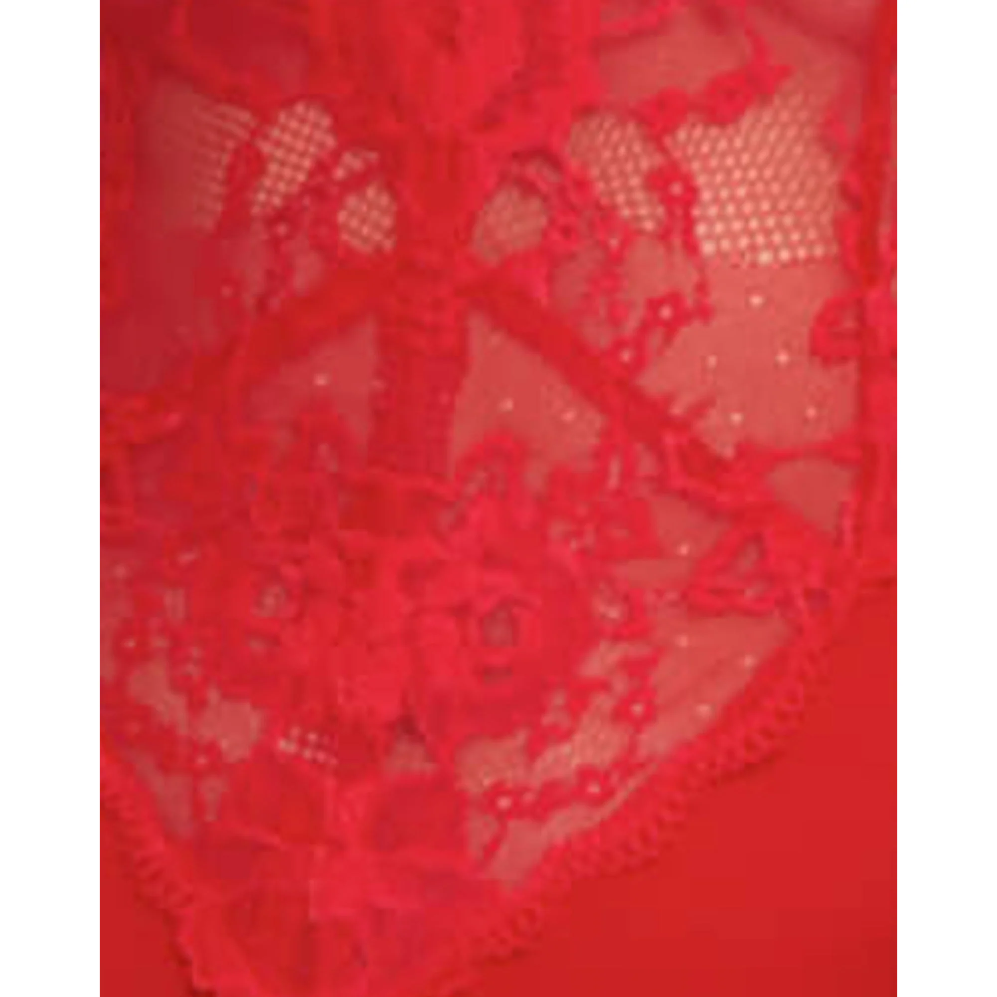 Viscose & Sheer Lace Lingerie Bodysuit - Image 5